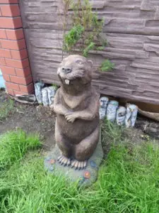 Бобр