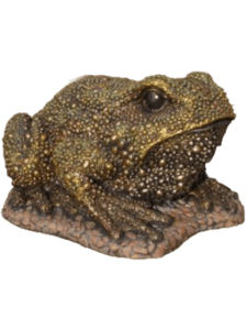 gaba