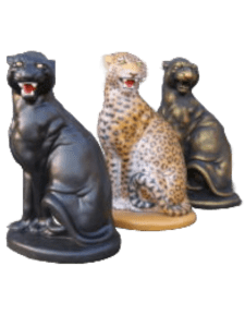 pantera leopard